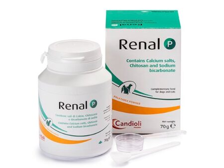 Candioli Renal P Toz